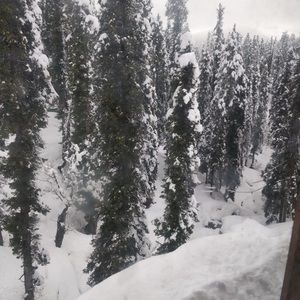 Meet your Posher, Avinash